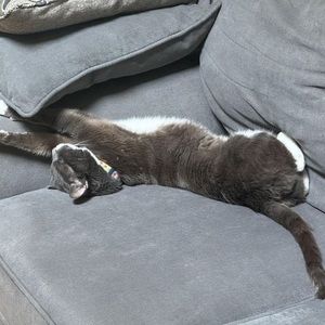 Meet your Posher, Judy